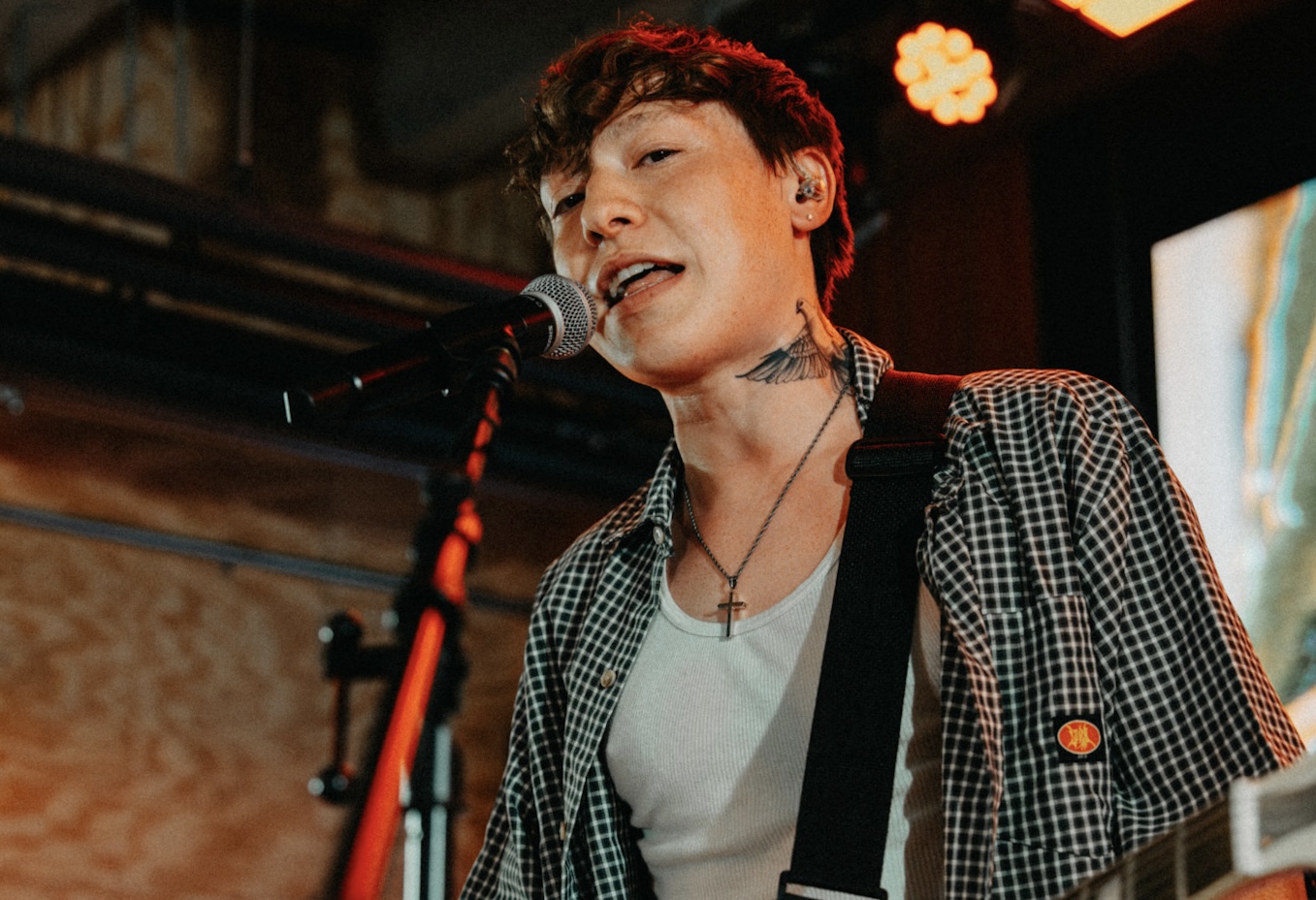 roo performing live on guitar